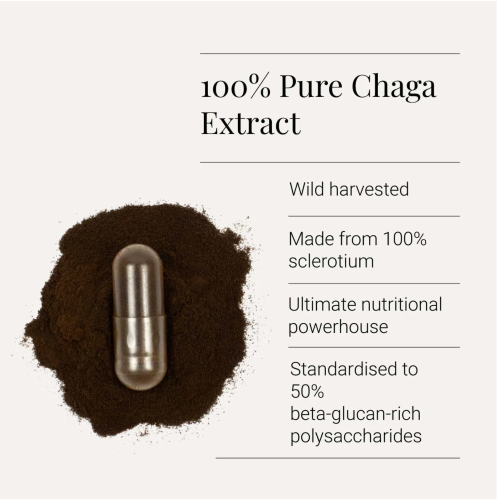 Chaga Extract, Organic - 60 Vegicaps