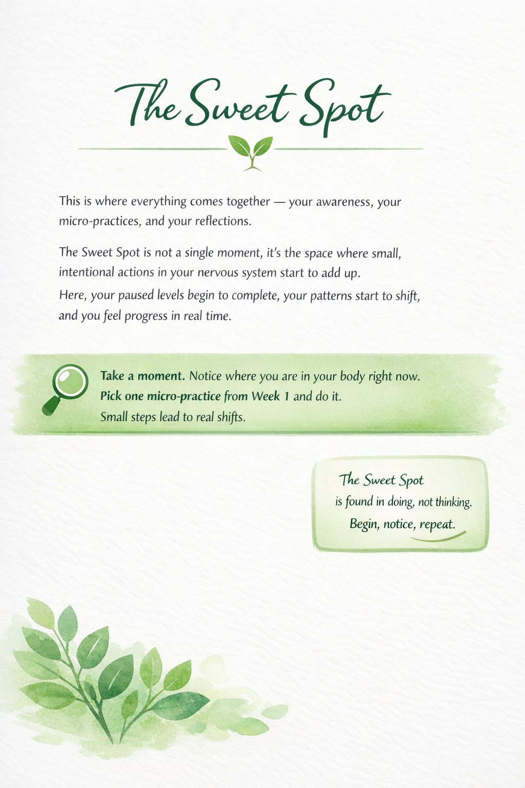 Recovery in Motion: A Nervous System Literacy Field Guide