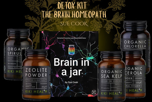 Brain in a Jar Starter Kit with products