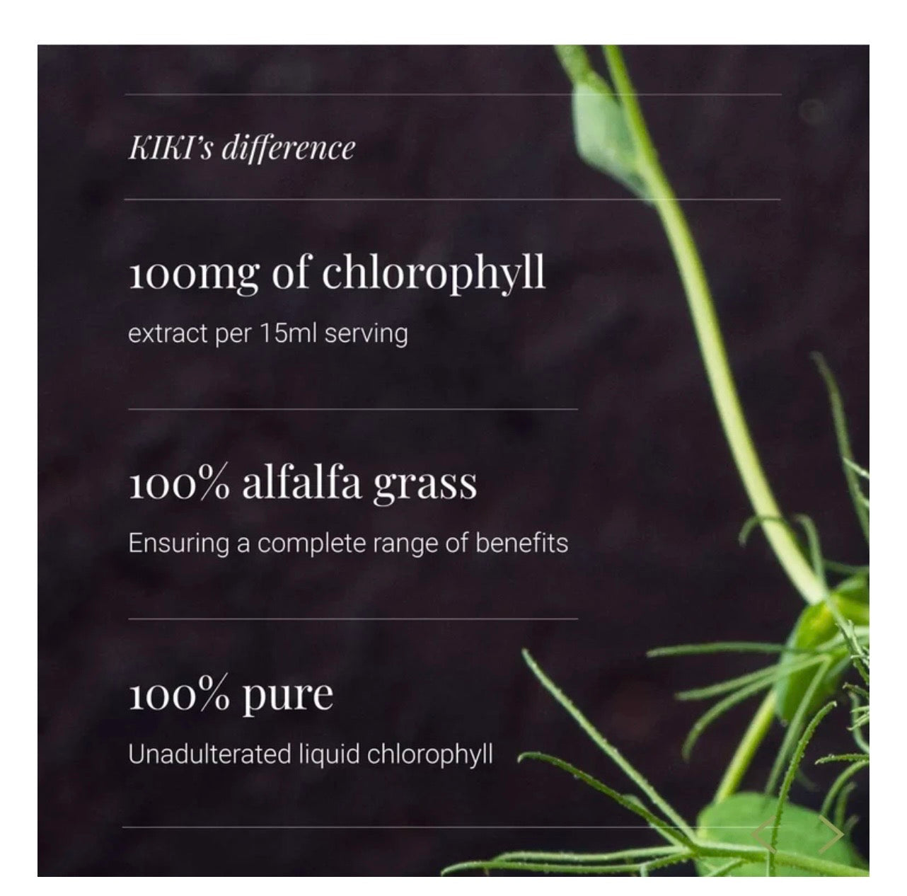 Liquid Chlorophyll 250ml