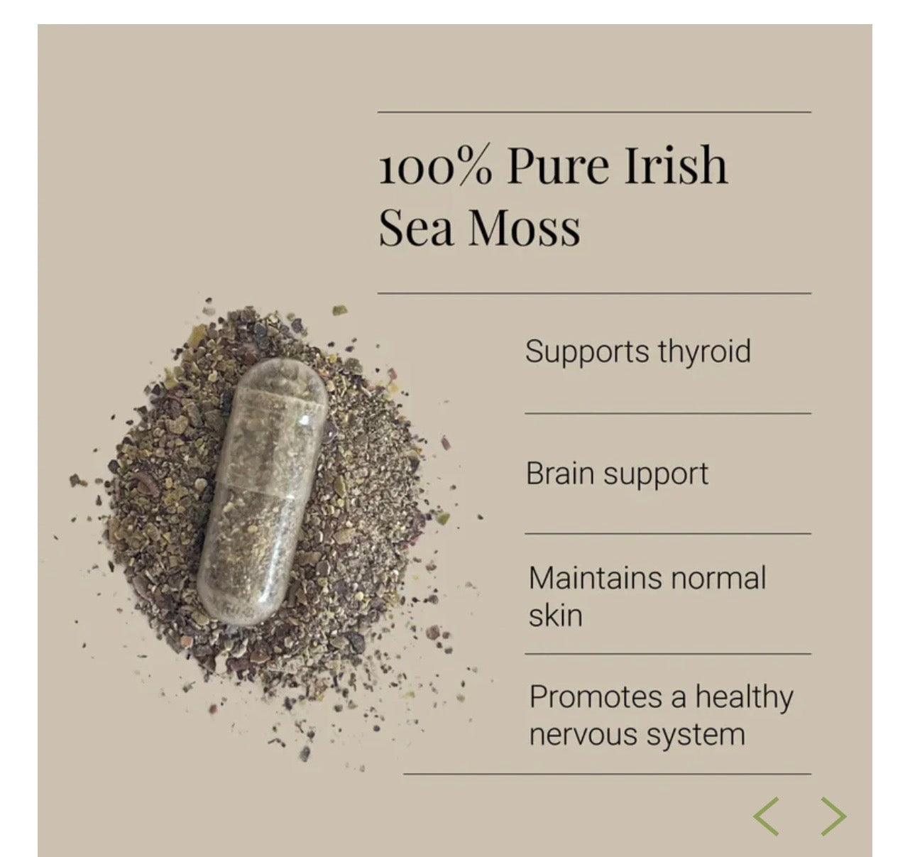 Sea Moss Irish, Organic - 90 Vegicaps