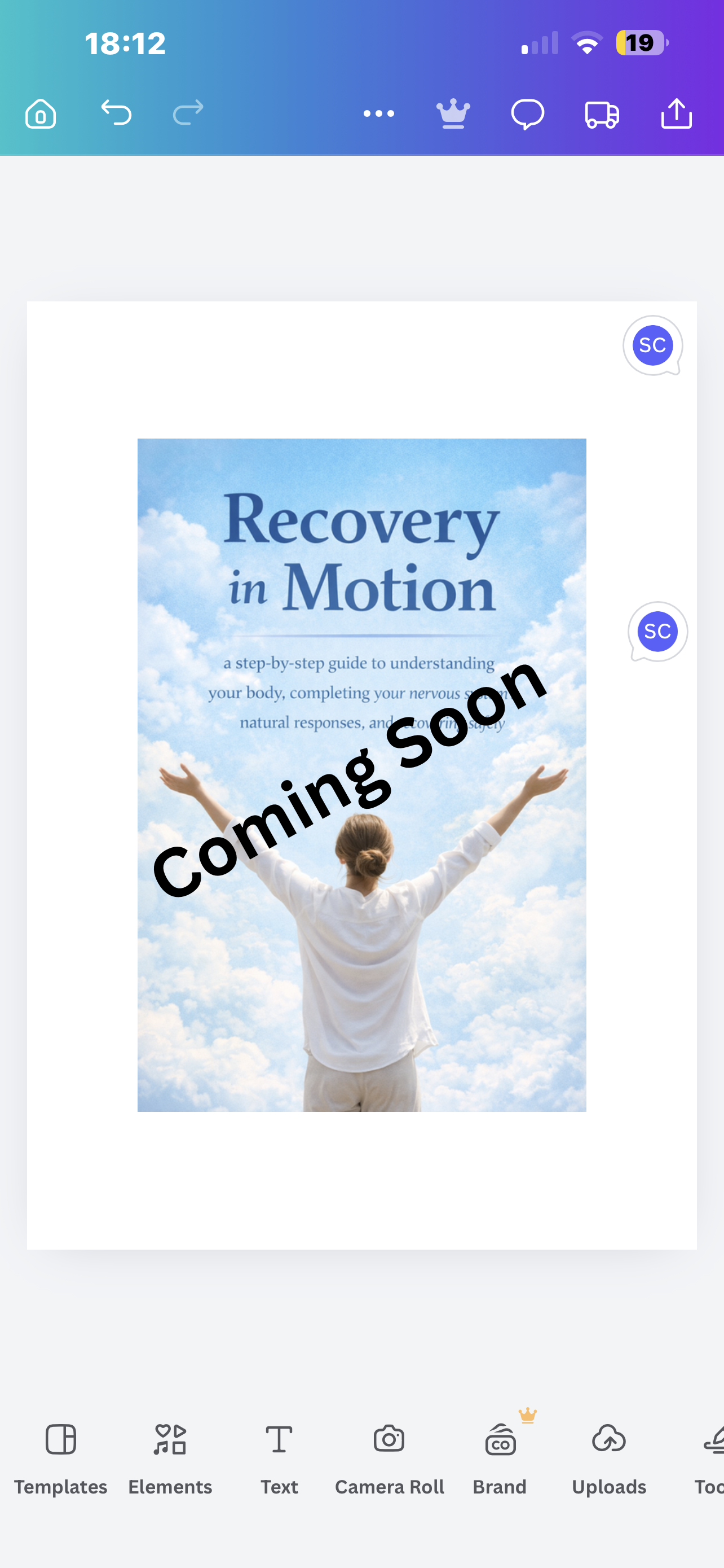 Recovery in Motion: A Nervous System Literacy Field Guide