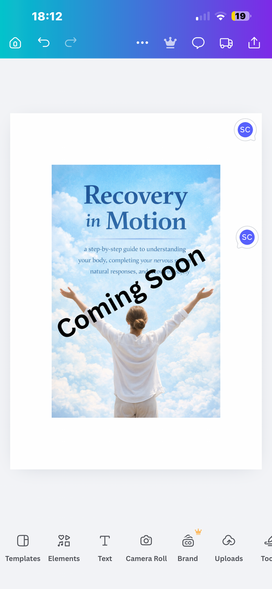 Recovery in Motion: A Nervous System Literacy Field Guide