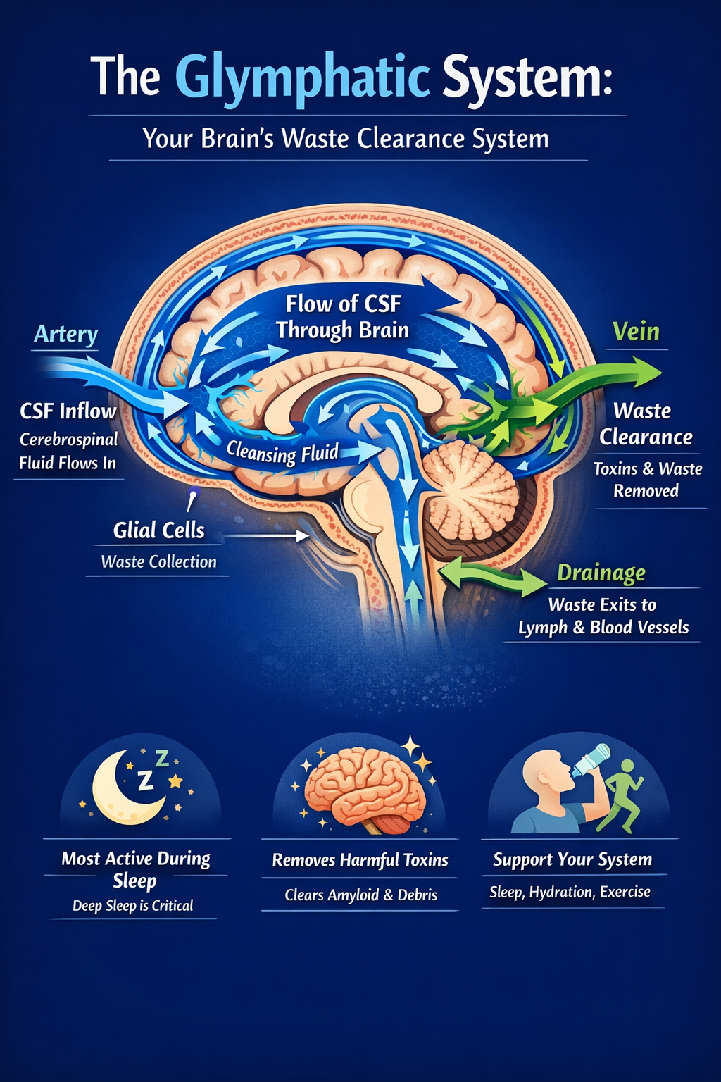 The Complete Brain Development Bundle