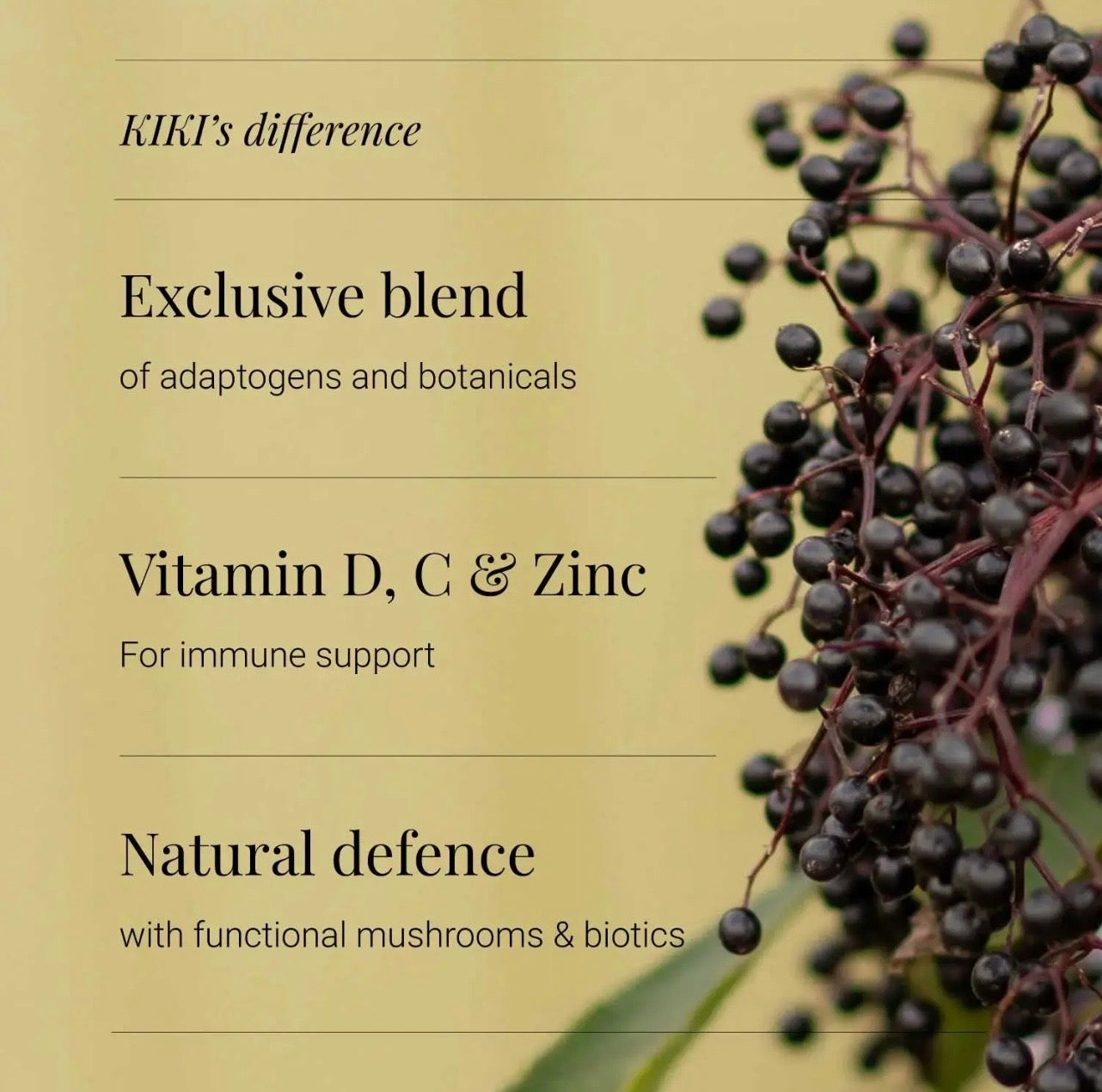 Immunity Capsules - 60 Vegicaps