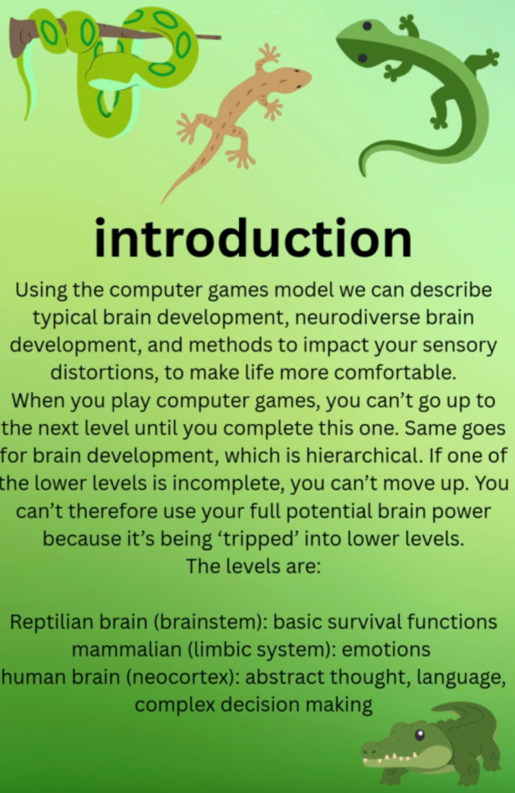 Level Up how to be a neuro ninja by Sue Cook