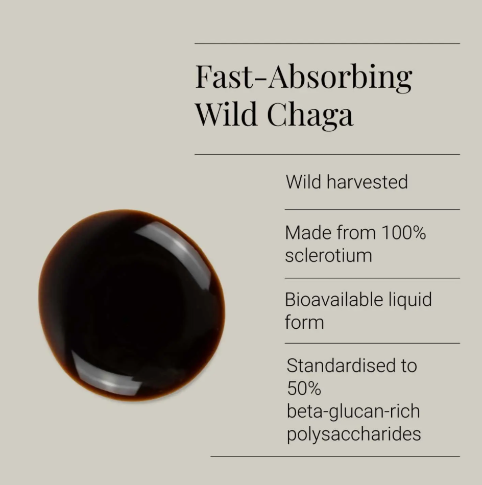 Chaga Extract Tincture, Organic - 50ml